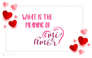 What is the meaning of "Mi Amor". - Language Throne